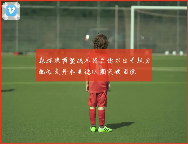 森林狼调整战术将兰德尔出手权分配给麦丹和里德以期突破困境