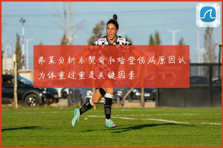 弗莱分析东契奇和哈登伤病原因认为体重过重是关键因素